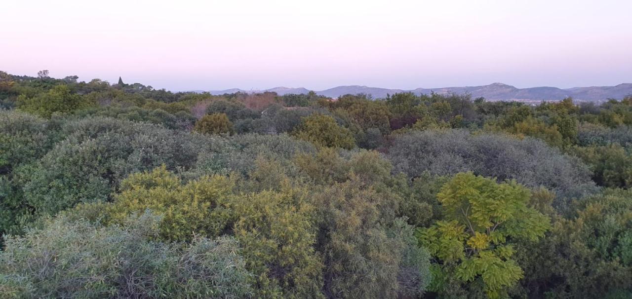 Nehema Manor Villa Schoemansville Luaran gambar